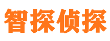 汶川私家调查公司